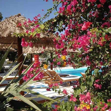 Lägenhetshotell Sun Of Mykonos