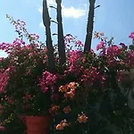 Hotel apartamentowy Sun Of Mykonos 3*