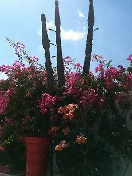 Апарт-отель Sun Of Mykonos 3*